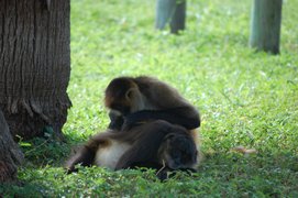 Naples Zoo | Zoos & Sanctuaries - Rated 3.8