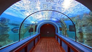 National Marine Aquarium | Aquariums & Oceanariums - Rated 3.2