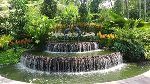 National Parks Board in Singapore, Singapore city-state | Botanical Gardens - Rated 4.2