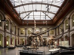 Natural History Museum of Bern in Switzerland, Canton of Bern | Museums - Rated 3.6