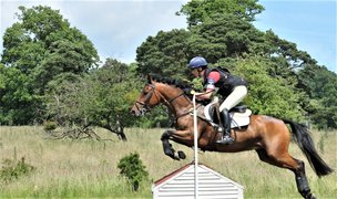 New Muthaiga Horse Riding Stables in Kenya, Nairobi | Horseback Riding - Rated 0.9