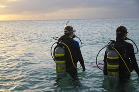 The Dive Outfitters | Scuba Diving - Rated 0.9