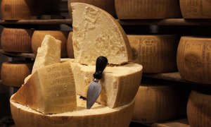 Casearia Corradi | Cheesemakers - Rated 0.9