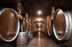 Wine Cellar Panajotovic | Wineries - Rated 0.8