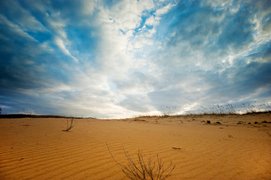 Oleshky Sands in Ukraine, Kherson Oblast | Deserts,Trekking & Hiking - Rated 3.8
