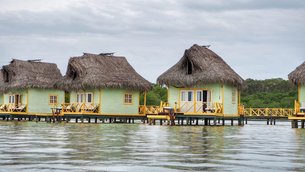 Om Cafe in Panama, Bocas del Toro | Cafes - Rated 0.9