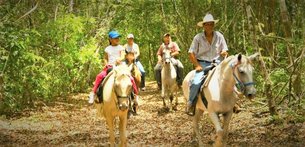 Outback Trails in Belize, Toledo District | Horseback Riding - Rated 1