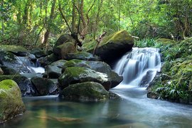 Tai Po Kau Nature Reserve in China, South Central China | Nature Reserves - Rated 3.3