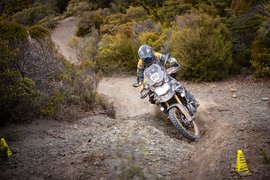 Capitol State Forest | Nature Reserves,Motorcycles,ATVs - Rated 4.7