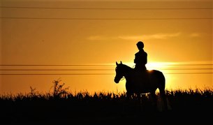 Pacific Horses - Horse Back Riding Conchal | Horseback Riding - Rated 1