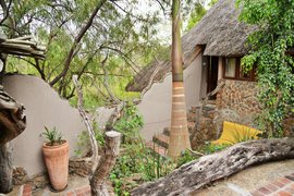 Pamuzinda Safari Lodge | Safari - Rated 3.6