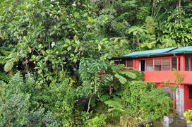Papillote Tropical Gardens in Dominica, Saint George | Gardens - Rated 0.8