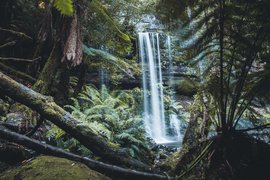 Papua Waterfall | Waterfalls,Swimming - Rated 0.6