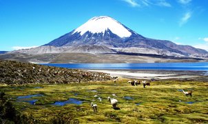 Parinacota Volcano in Chile, Arica and Parinacota Region | Volcanos - Rated 1