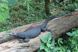 Parque Reptilandia | Zoos & Sanctuaries - Rated 3.6