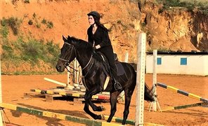 Pegasus Riding Club in Lebanon, North Governorate | Horseback Riding - Rated 0.7