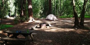 Pfeiffer Big Sur Campground in USA, California | Campsites - Rated 4.6
