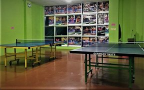 Green Paddle in Philippines, National Capital Region | Ping-Pong - Rated 0.8
