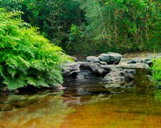 Phou Khao Khouay National Bio-Diversity | Parks - Rated 3.4