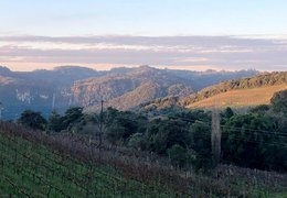 Pizzato in Brazil, South | Wineries - Rated 4