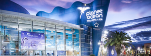 Planet Ocean World | Aquariums & Oceanariums - Rated 4.5