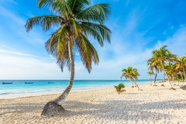 Paradise Beach in Mexico, Quintana Roo | Beaches - Rated 3.6