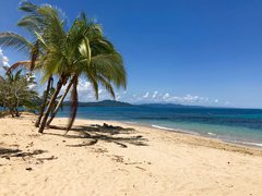 Playa Puerto Viejo in Costa Rica, Limon Province | Beaches - Rated 3.9