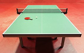 Poggers Table Tennis Thingie in Germany, Hamburg | Ping-Pong - Rated 0.9