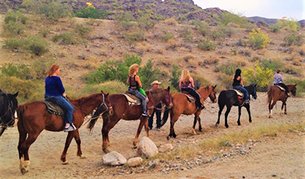 Ponderosa Stables | Horseback Riding - Rated 4.6