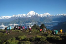 Poon Hill Trek in Nepal, Province No. 1 | Trekking & Hiking - Rated 3.8
