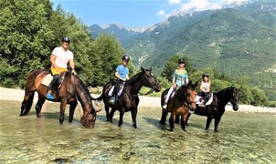 Posestvo Blata | Horseback Riding - Rated 1