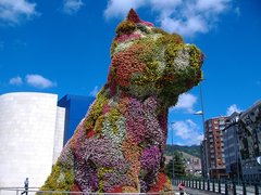 Puppy in Spain, Basque Country | Monuments - Rated 3.9