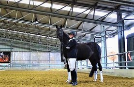 QC Stables in Belgium, Flemish Region | Horseback Riding - Rated 0.7