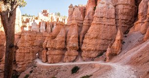 Navajo Loop and Queen's Garden Trail in USA, Utah | Trekking & Hiking - Rated 4.1