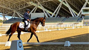 Racing & Equestrian Club in Qatar, Ad-Dawhah | Horseback Riding - Rated 1.1