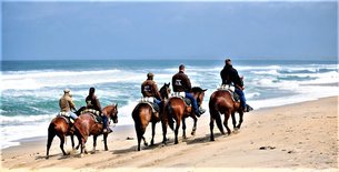 Rainbow Beach Horse Rides in Australia, Queensland | Horseback Riding - Rated 1.1