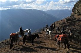 Ranch El Castille | Horseback Riding - Rated 1