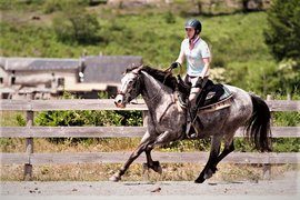 Ranch des portes du soleil in France, Auvergne-Rhone-Alpes | Horseback Riding - Rated 0.9