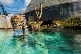 Randers Regnskov | Zoos & Sanctuaries - Rated 4.3