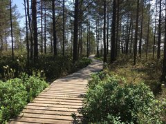 Rannametsa Tolkuse Nature Trail in Estonia, Parnu County | Trekking & Hiking - Rated 0.9