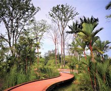 Jurong Lake Gardens in Singapore, Singapore city-state | Gardens,Trekking & Hiking - Rated 3.9