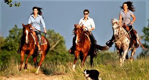 Red Horse Ranch in Hungary, Central Hungary | Horseback Riding - Rated 0.9