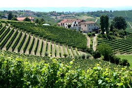 Redaelli de Zinis in Italy, Lombardy | Wineries - Rated 0.8
