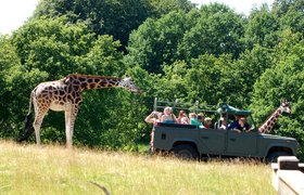 Ree Park Safari | Zoos & Sanctuaries,Family Holiday Parks - Rated 4