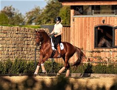 Reitstall Pegasus in Luxembourg, Remich Canton | Horseback Riding - Rated 0.9