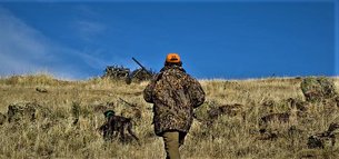 Hunting Republic Azerbaijan | Hunting - Rated 1