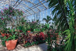 Roger Williams Park Botanical in USA, Rhode Island | Botanical Gardens - Rated 3.8