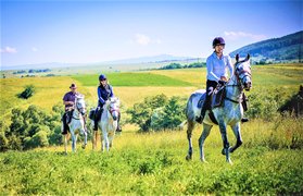 Transylvania on Horseback in Romania, Central Romania | Horseback Riding - Rated 0.9