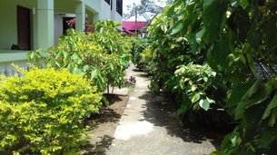 Roots Bamboo Beach Resort | Sex Hotels,Sex-Friendly Places - Rated 0.8