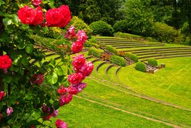 Rose Garden | Gardens - Rated 4